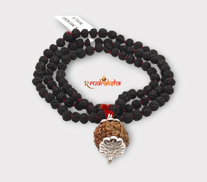 Nepali 9 Mukhi SilverCapped With Black Punchmukhi Rudraksha Mala
