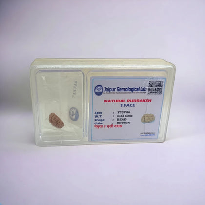 PhotoRoom-20231002_222532