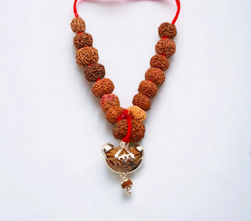 PhotoRoom-20231008_105028