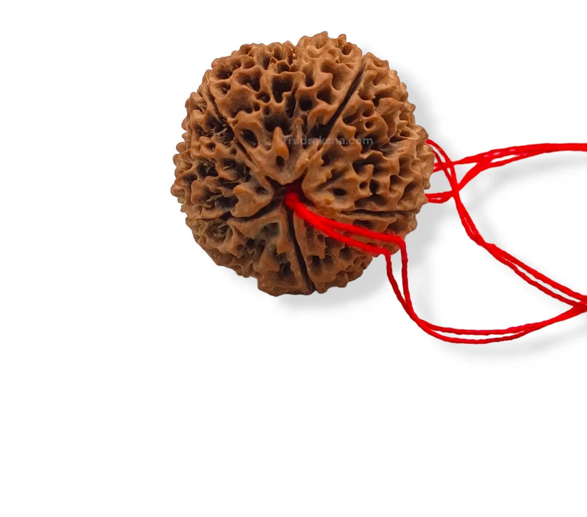 PhotoRoom-20231008_124800_1