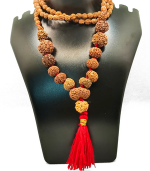 PhotoRoom-20231008_163012_1