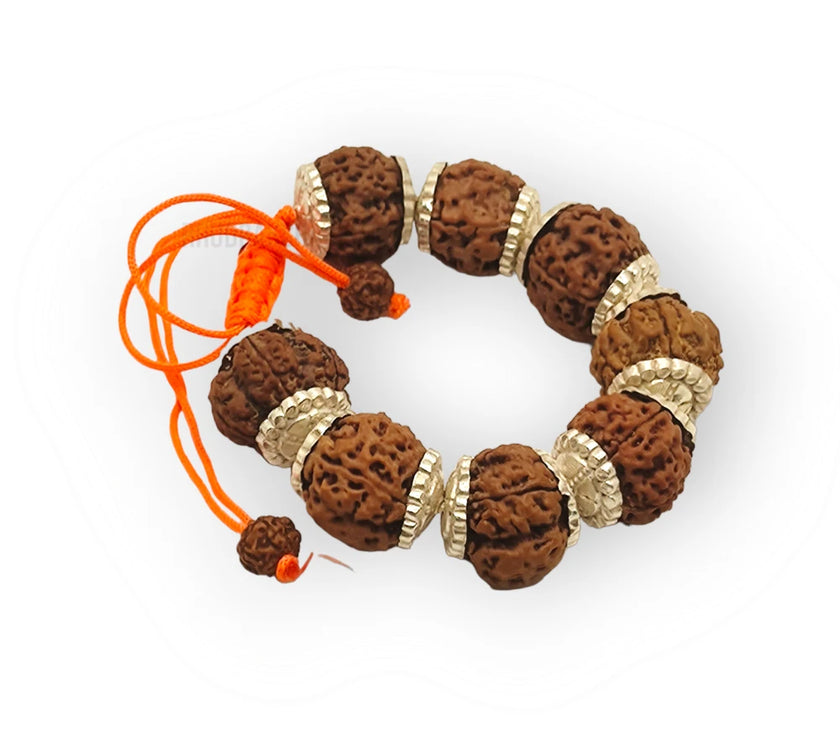 Nepali 6 Mukhi Rudraksha Silver Bracelet - Certified