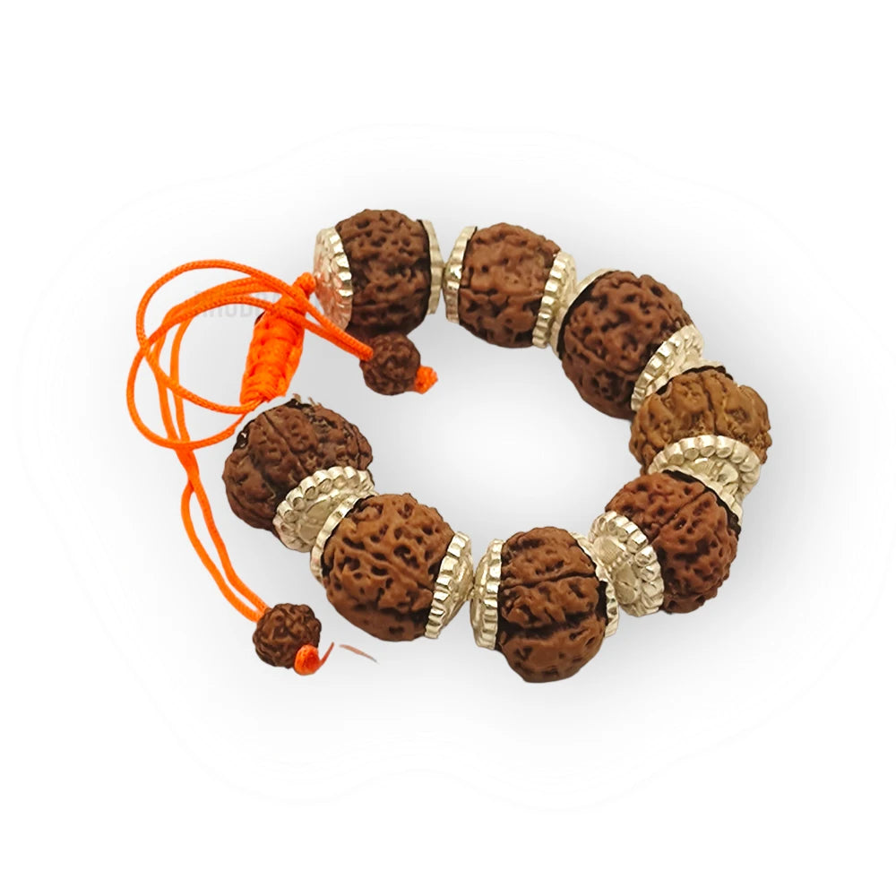 Nepali 6 Mukhi Rudraksha Silver Bracelet - Certified