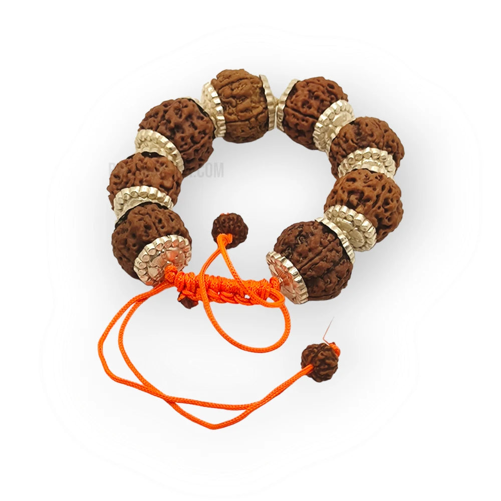 Nepali 9 Mukhi Rudraksha Silver Bracelet - Certified