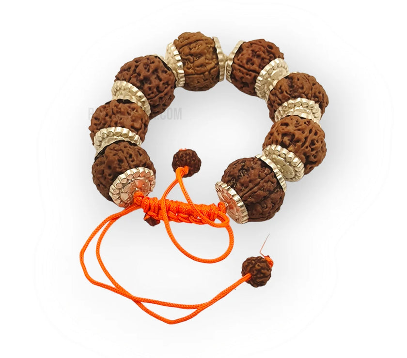 Nepali 10 Mukhi Rudraksha Silver Bracelet