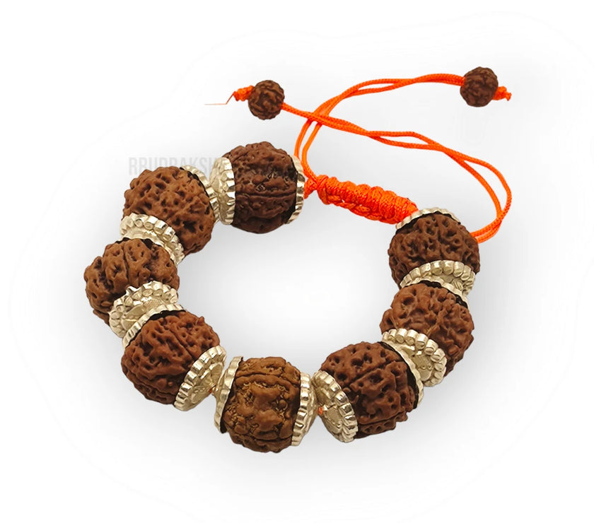 Nepali 11 Mukhi Rudraksha Silver Bracelet - Certified