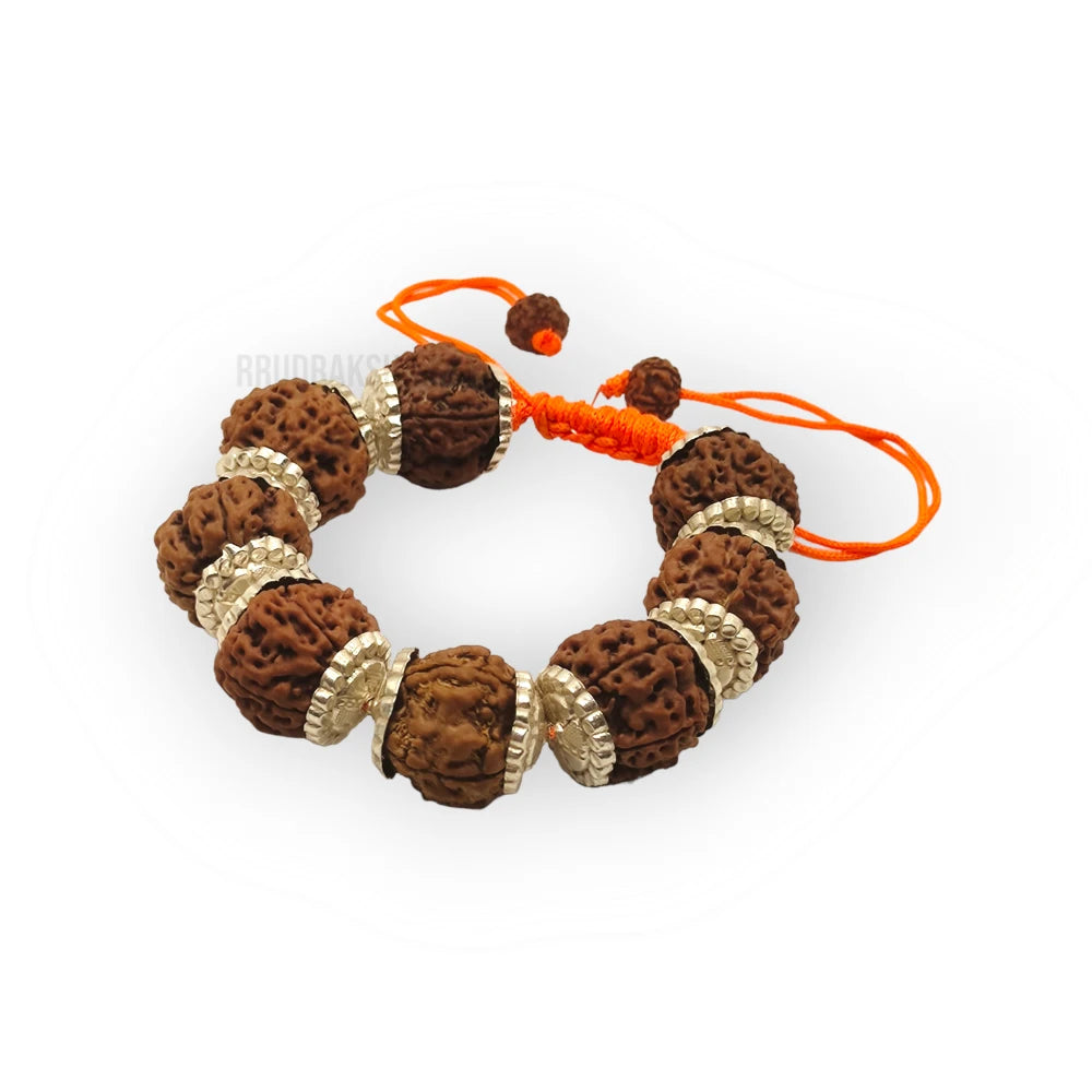 Nepali 6 Mukhi Rudraksha Silver Bracelet - Certified