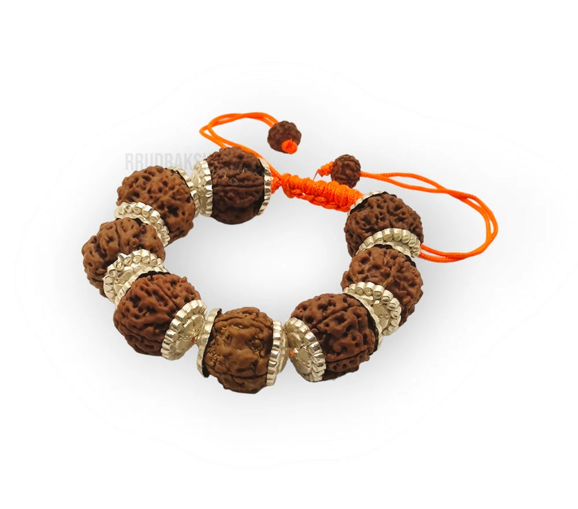 Nepali 6 Mukhi Rudraksha Silver Bracelet - Certified