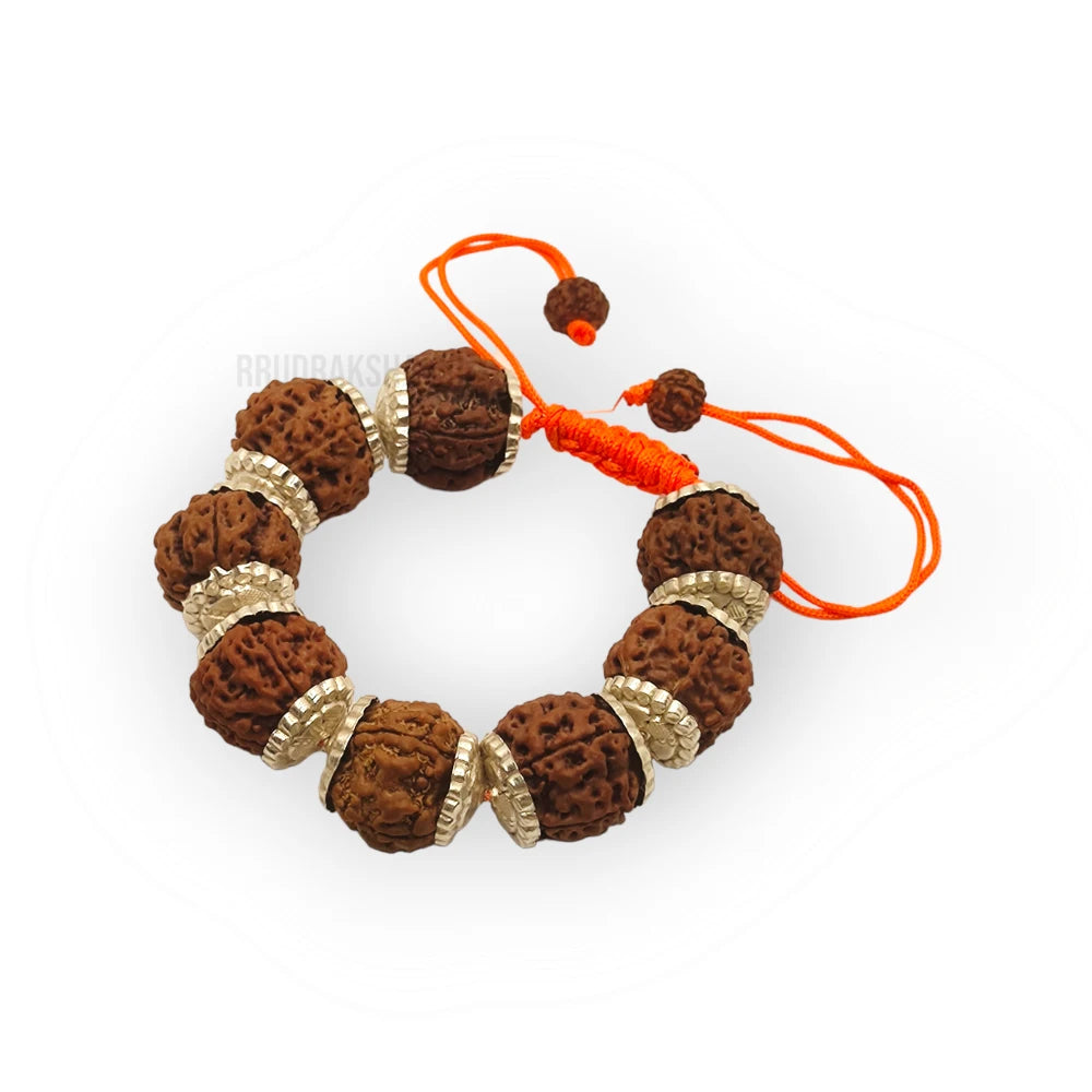 Nepali 6 Mukhi Rudraksha Silver Bracelet - Certified