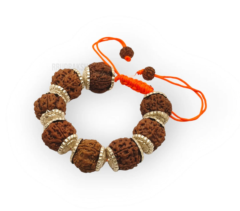 Nepali 11 Mukhi Rudraksha Silver Bracelet - Certified