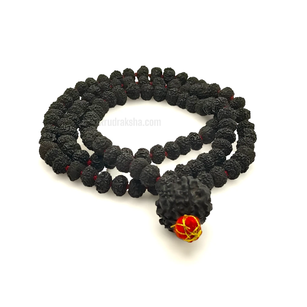 Pure Black Nepali 5 Mukhi Rudraksha String With Punchmukhi Rudraksha Mala