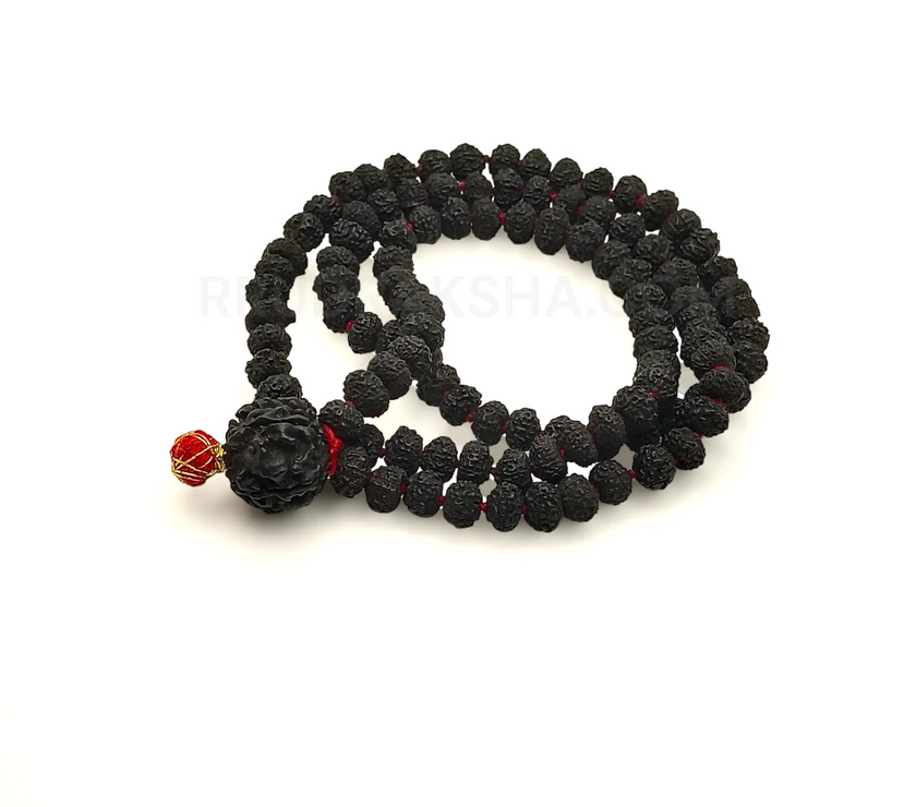 PhotoRoom-20231011_192213_2