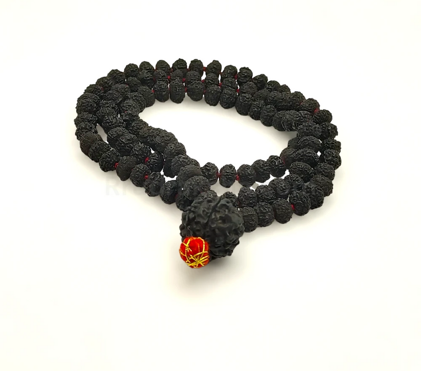 PhotoRoom-20231011_192213_4