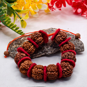 Premium Quality Lab Certified 7 Mukhi Rudraksha Bracelet With Valvet Cloths 