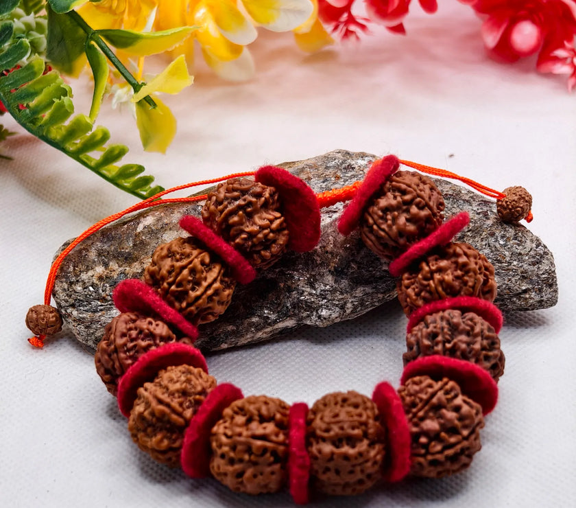 Premium Quality Lab Certified 7 Mukhi Rudraksha Bracelet With Valvet Cloths 