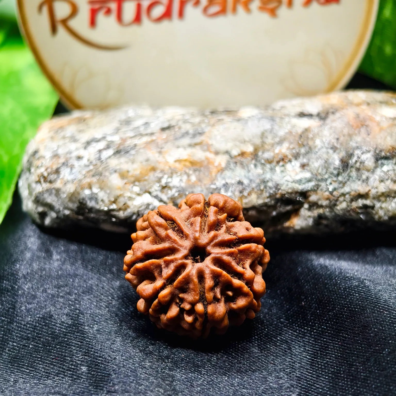 Buy original 7 Mukhi Rudraksha, 7 Mukhi Rudraksha price , real 7 Mukhi Rudraksha, authentic 7 Mukhi Rudraksha Mala 