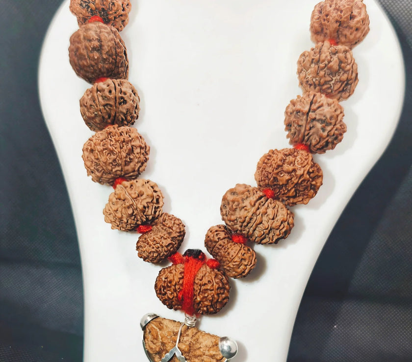 Siddha Mala made up with 1 to 14 Mukhi, Gauri Shankar and Ganesh Mukhi, buy real siddha Mala, authentic certified rudraksha 