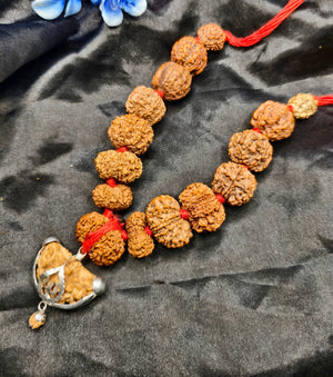 1 se 14 Mukhi original rudraksha, original siddha Mala, original siddha k
Kharide, buy original siddha Mala 