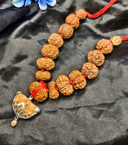1 se 14 Mukhi original rudraksha, original siddha Mala, original siddha k
Kharide, buy original siddha Mala 