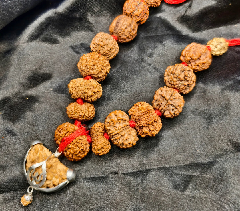 1 se 14 Mukhi original rudraksha, original siddha Mala, original siddha k
Kharide, buy original siddha Mala 