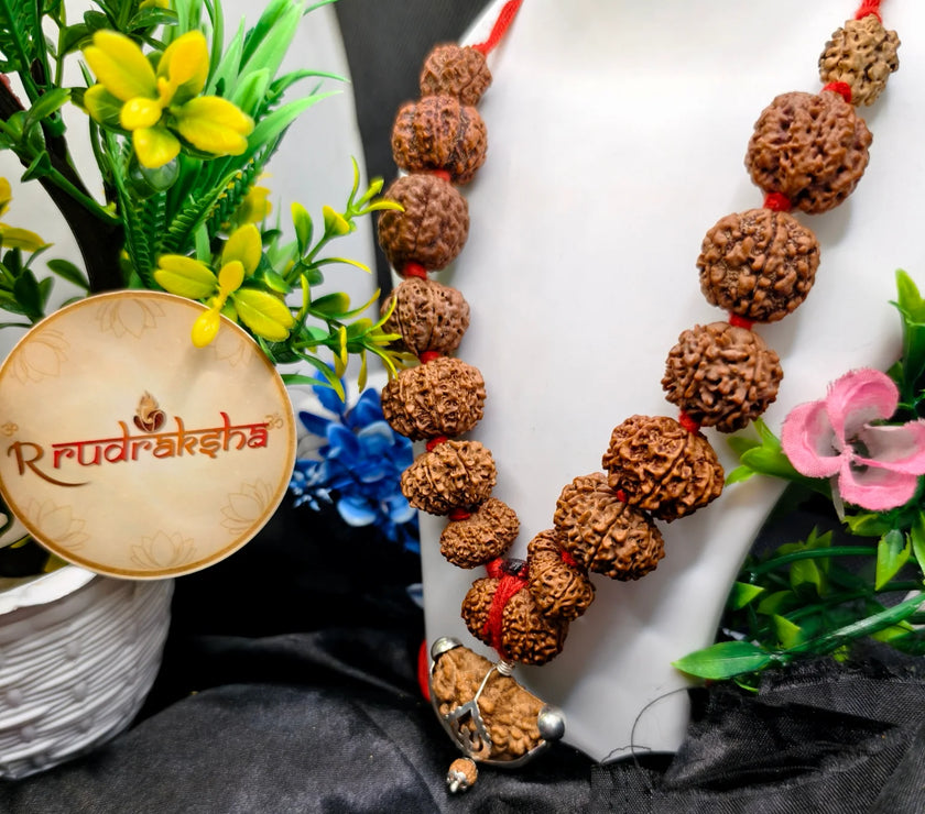 Siddha Mala 1 to 14 Mukhi, Gauri Shankar Rudraksh and Ganesh Mukhi rudraksha, 1 se 14 rudke fayde aur laabh, 