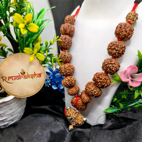 Siddha Mala 1 to 14 Mukhi, Gauri Shankar Rudraksh and Ganesh Mukhi rudraksha, 1 se 14 rudke fayde aur laabh, 