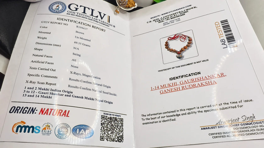 1 to 14 Mukhi Certified Siddha Mala, lab report with siddha Mala, authentic 1 to 14 Mukhi Gauri Shankar and Ganesh Rudraksha 