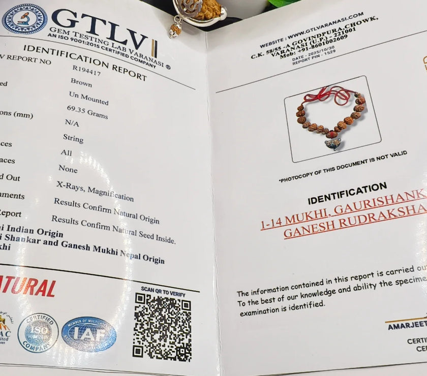 1 to 14 Mukhi Certified Siddha Mala, lab report with siddha Mala, authentic 1 to 14 Mukhi Gauri Shankar and Ganesh Rudraksha 