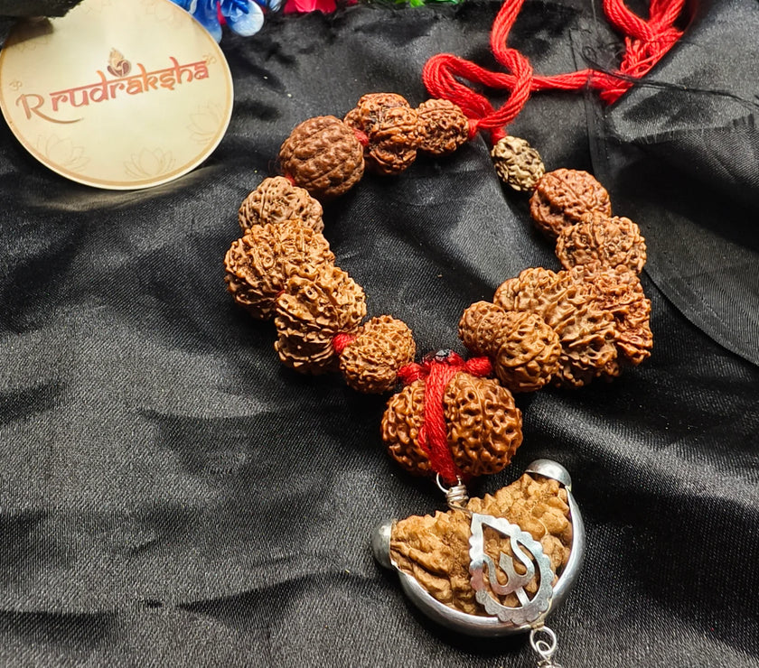 1 to 14 Mukhi Gauri Shankar and Ganesh Mukhi Premium Quality, mix siddha Mala, budget friendly siddha Mala 