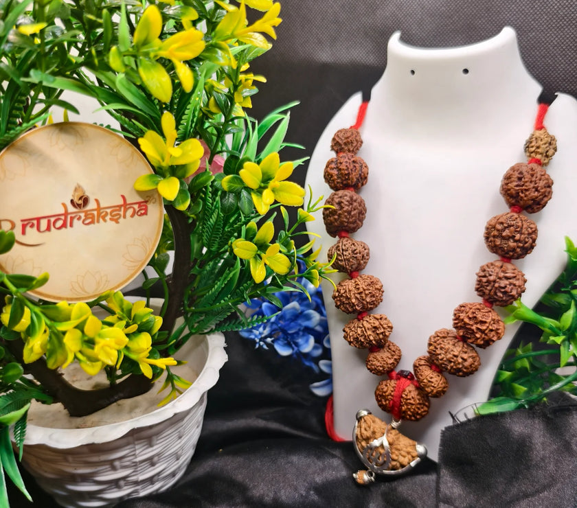 Siddha Mala 1 to 14 Mukhi rudraksha,  1 se 14 Mukhi, Gauri Shankar aur Ganesh Mukhi Rudraksha, siddha Mala 