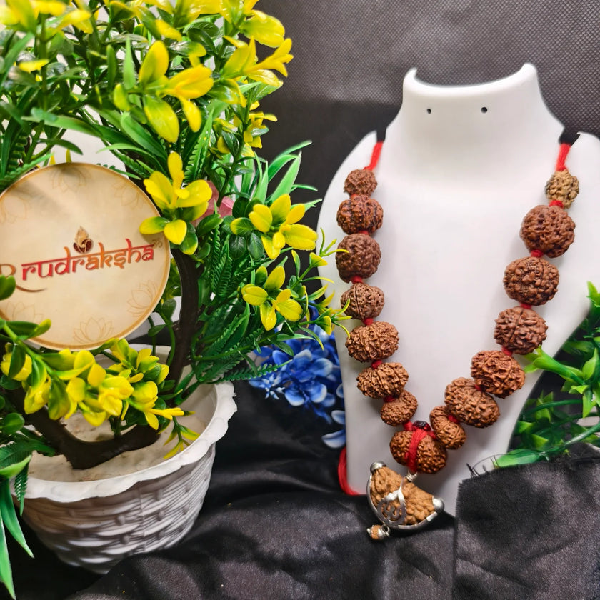 Siddha Mala 1 to 14 Mukhi rudraksha,  1 se 14 Mukhi, Gauri Shankar aur Ganesh Mukhi Rudraksha, siddha Mala 