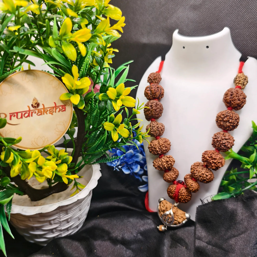 Siddha Mala 1 to 14 Mukhi rudraksha,  1 se 14 Mukhi, Gauri Shankar aur Ganesh Mukhi Rudraksha, siddha Mala 