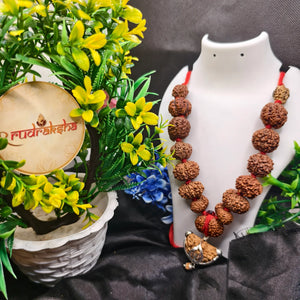 Siddha Mala 1 to 14 Mukhi rudraksha,  1 se 14 Mukhi, Gauri Shankar aur Ganesh Mukhi Rudraksha, siddha Mala 
