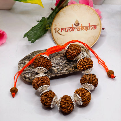 Silver bracelet made up of 8 kMukhi Rudraksha premium quality lab Tested Authentic product 