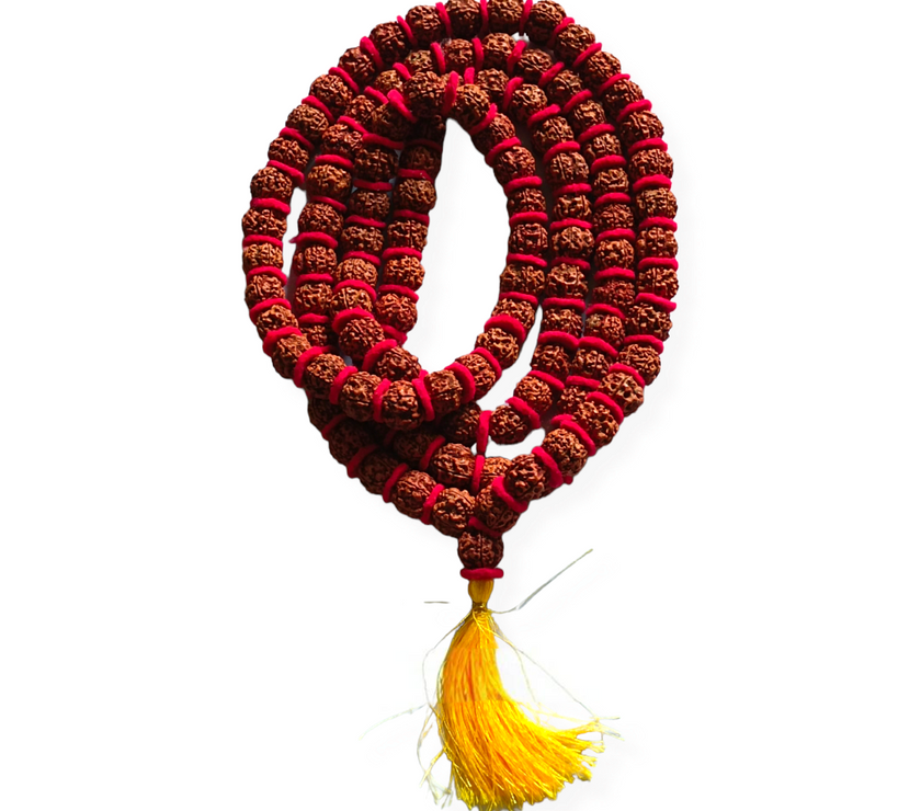 Nepali 7 Mukhi Rudraksha Kantha