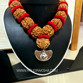 1 Mukhi Rudraksha with Nepali Punchmukhi Rudraksha Kantha