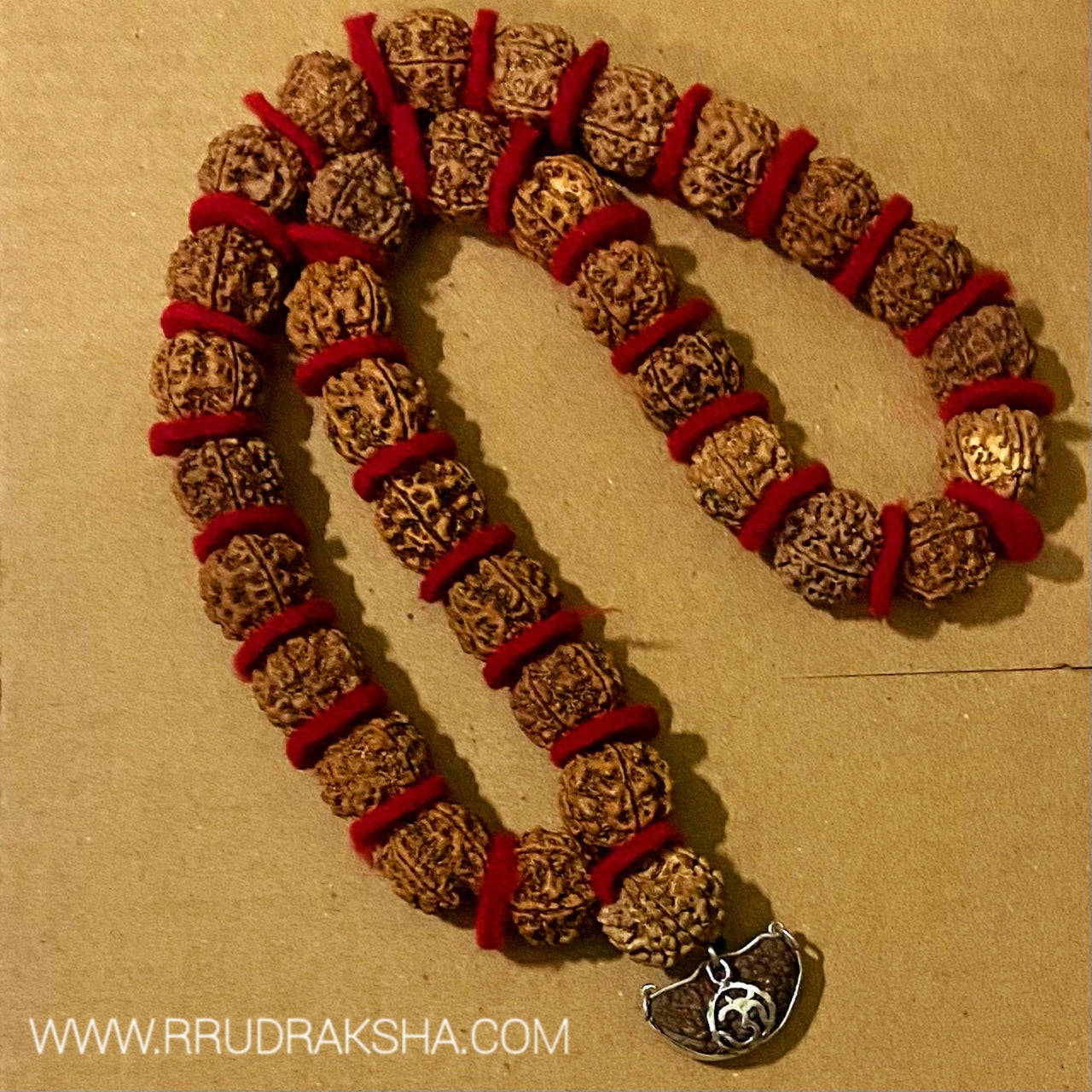 1 Mukhi Rudraksha with Nepali Punchmukhi Rudraksha Kantha