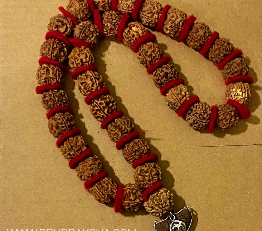 1 Mukhi Rudraksha with Nepali Punchmukhi Rudraksha Kantha