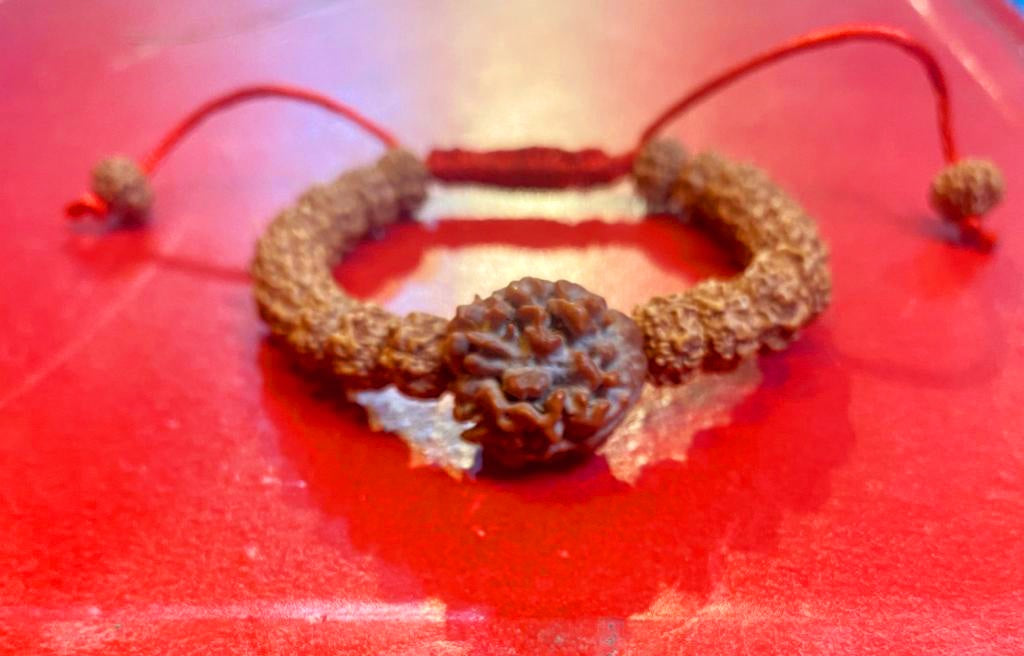 Nepali 3 Mukhi Rudraksha Bracelet with Punchmukhi Rudraksha