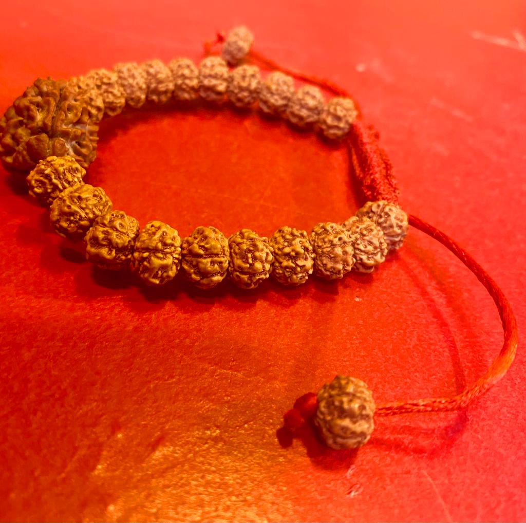 Nepali 3 Mukhi Rudraksha Bracelet with Punchmukhi Rudraksha