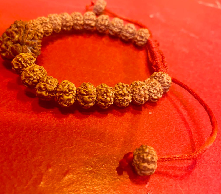 Nepali 3 Mukhi Rudraksha Bracelet with Punchmukhi Rudraksha