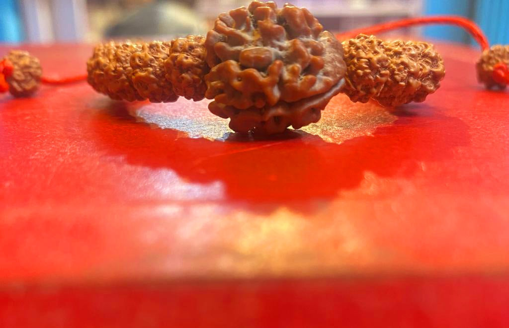 Nepali 3 Mukhi Rudraksha Bracelet with Punchmukhi Rudraksha