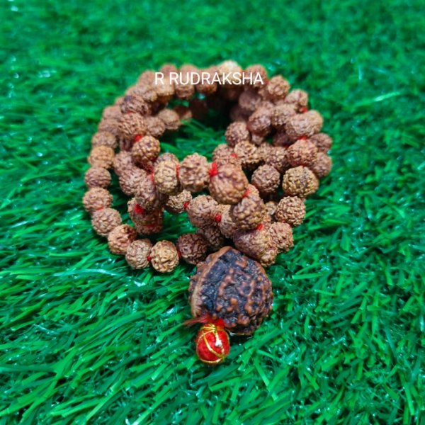 Ganesha 7 Mukhi Rudraksha Mala