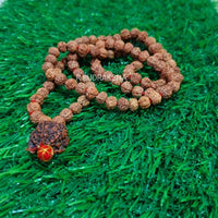 Ganesha 7 Mukhi Rudraksha Mala