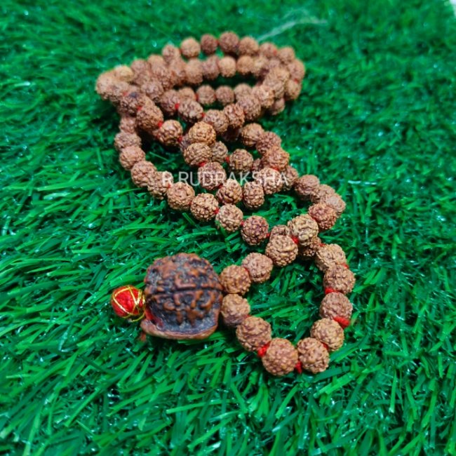 Ganesha 7 Mukhi Rudraksha Mala