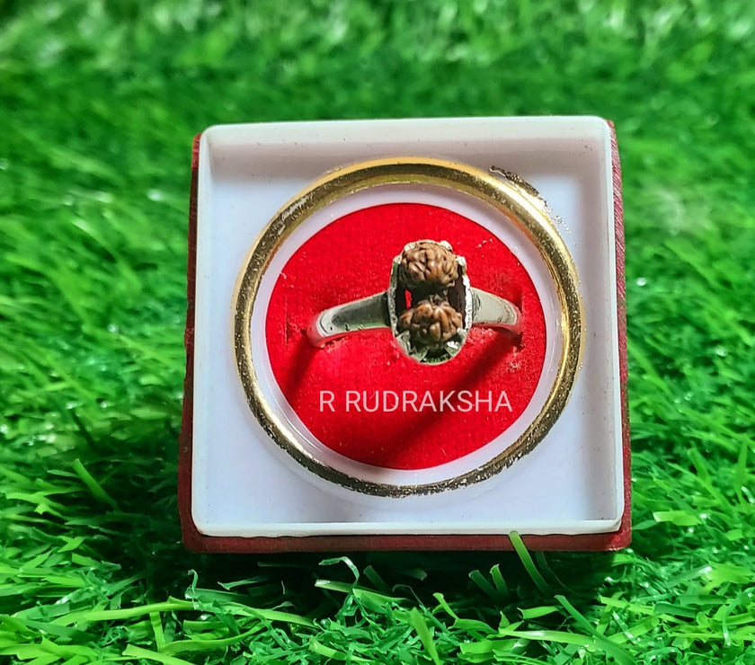 Java Gauri Shankar Rudraksha Ring