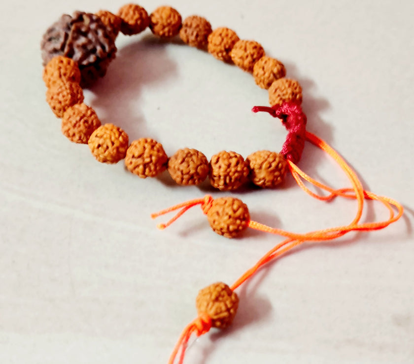 Nepali 6 Mukhi Rudraksha Bracelet with Punchmukhi Rudraksha - Certified