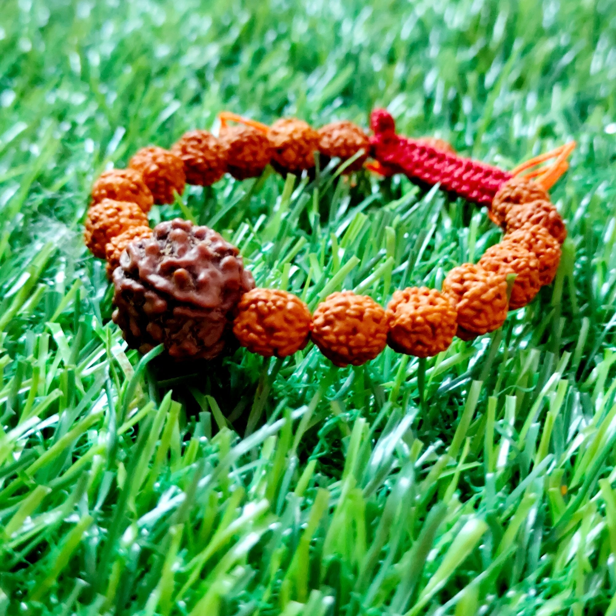 Nepali 7 Mukhi Rudraksha Bracelet with Punchmukhi Rudraksha - Certified