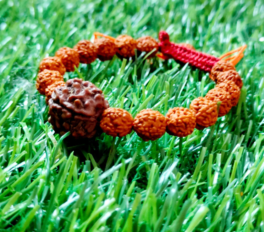 Nepali 7 Mukhi Rudraksha Bracelet with Punchmukhi Rudraksha - Certified