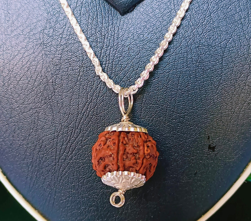 5 Mukhi Rudraksha Silver Chain Pendent - Certified